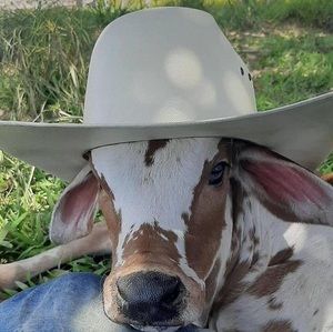 Meet your Posher, Marvin